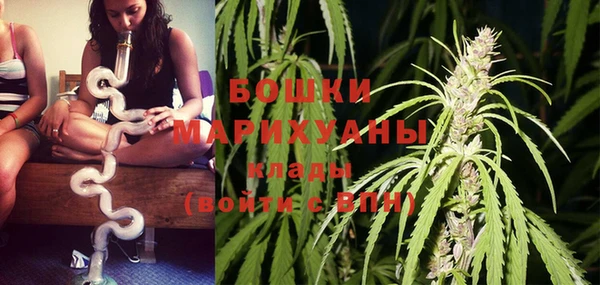 PSILOCYBIN Медвежьегорск