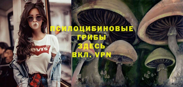 мефедрон Медногорск