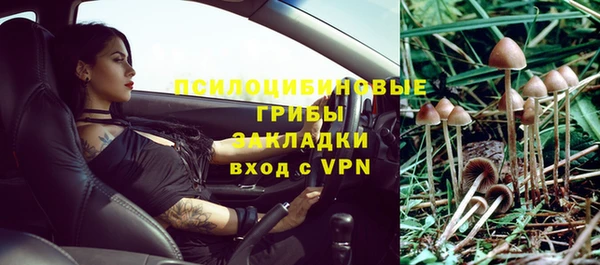 МДПВ Мегион