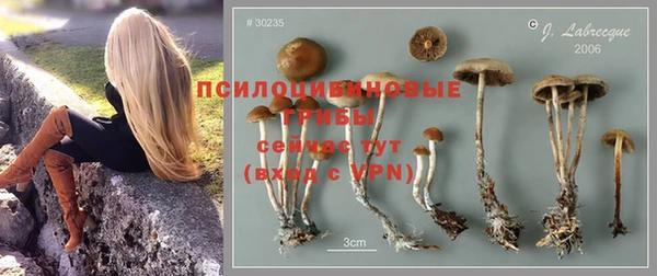 PSILOCYBIN Медвежьегорск