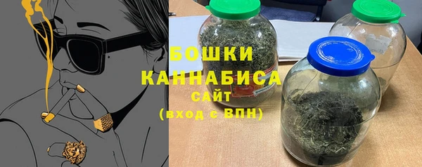 PSILOCYBIN Медвежьегорск