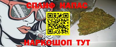 индика Балахна