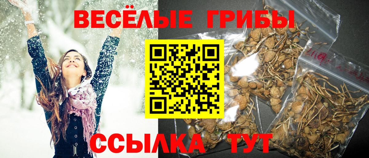 Галлюциногенные грибы Magic Shrooms Пятигорск