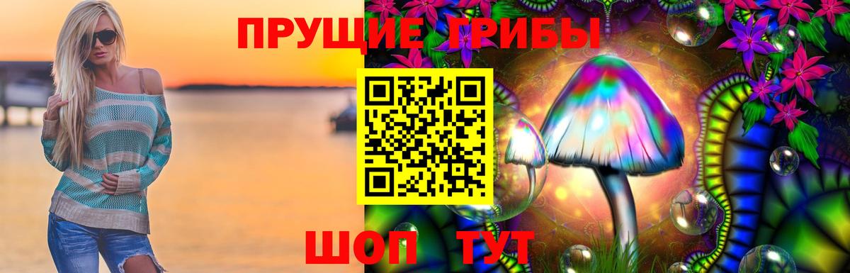 Псилоцибиновые грибы прущие грибы  Пятигорск 